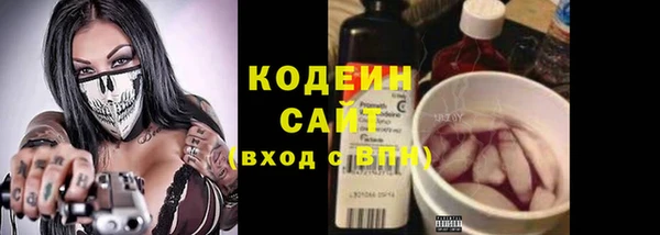 сатива Баксан