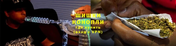 сатива Баксан