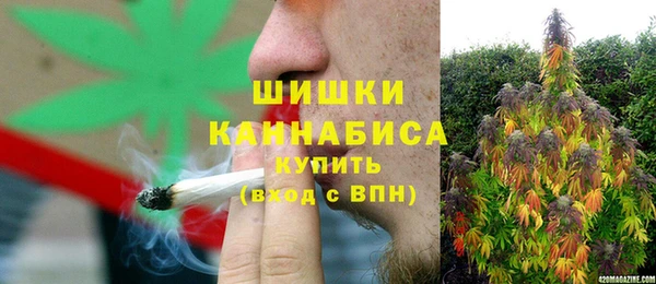 сатива Баксан