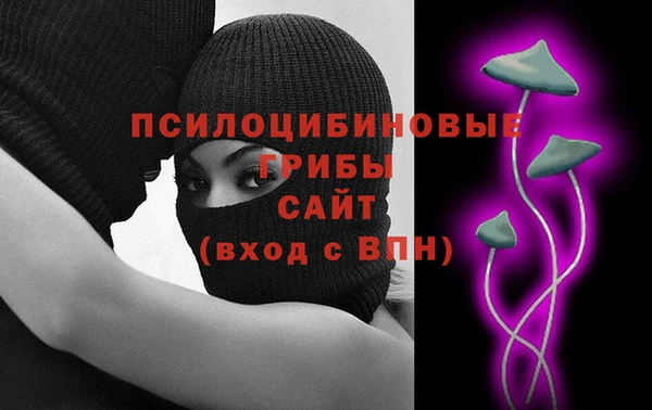 соль ск Балахна