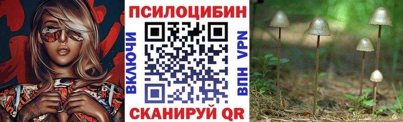 Псилоцибиновые грибы Psilocybine cubensis  shop официальный сайт  Среднеколымск 